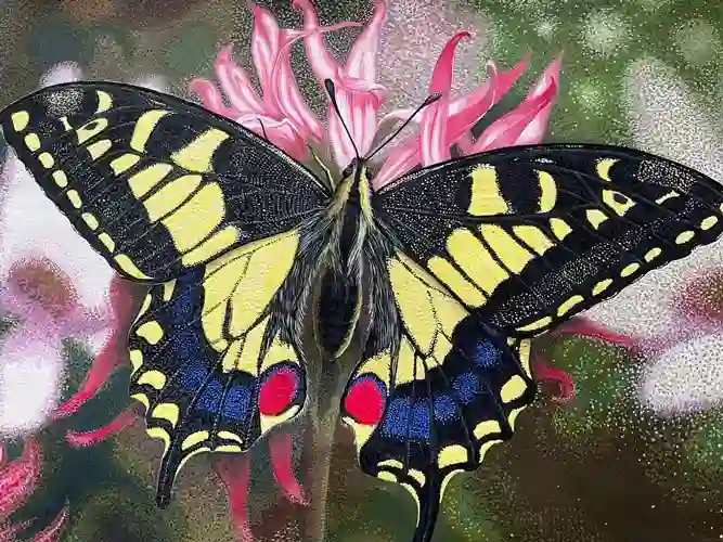 キアゲハのリアル画